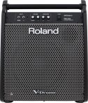 Roland PM-200 180W Personal Monitor